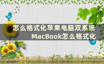 怎么格式化苹果电脑双系统 MacBook怎么格式化